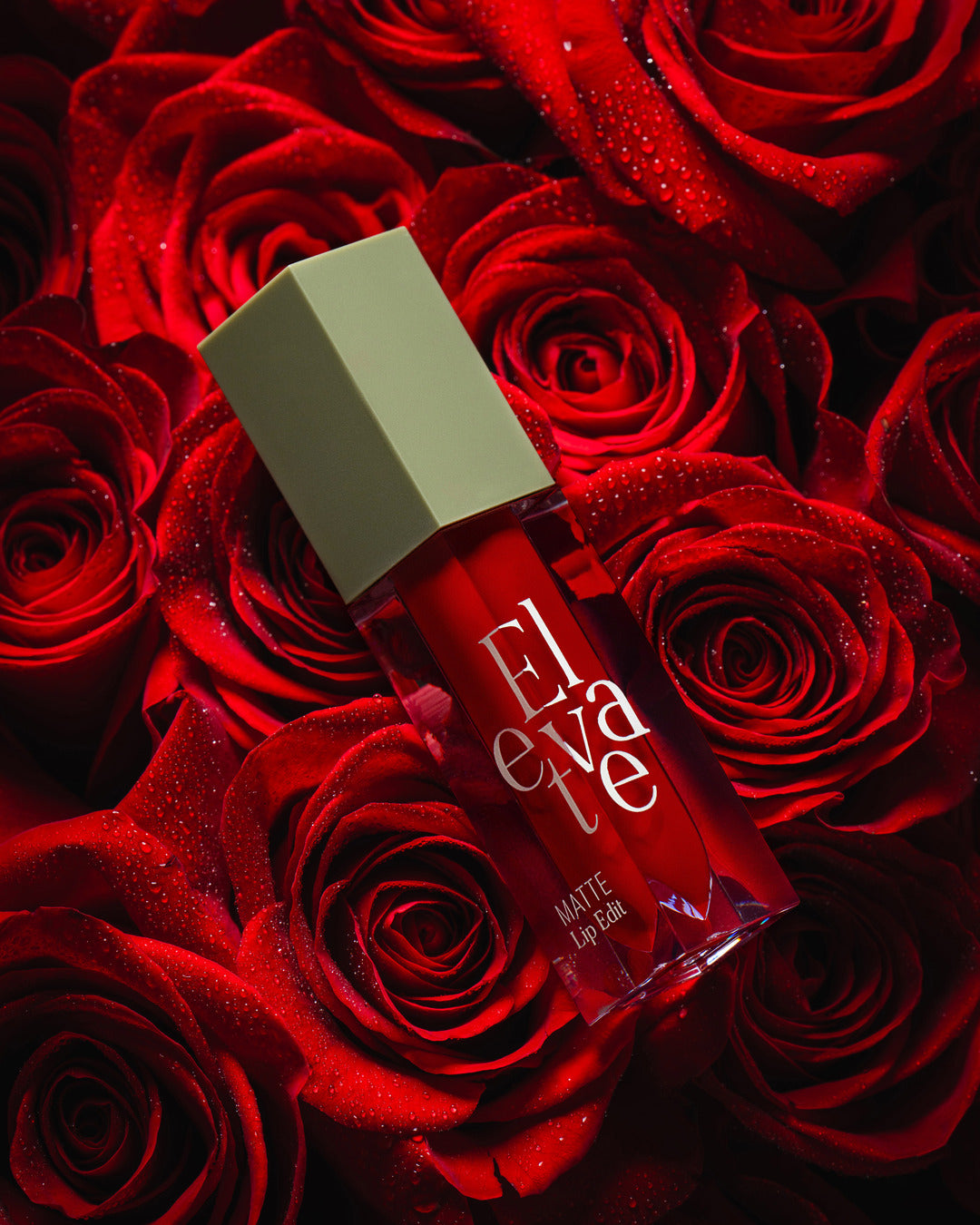 Red Rose